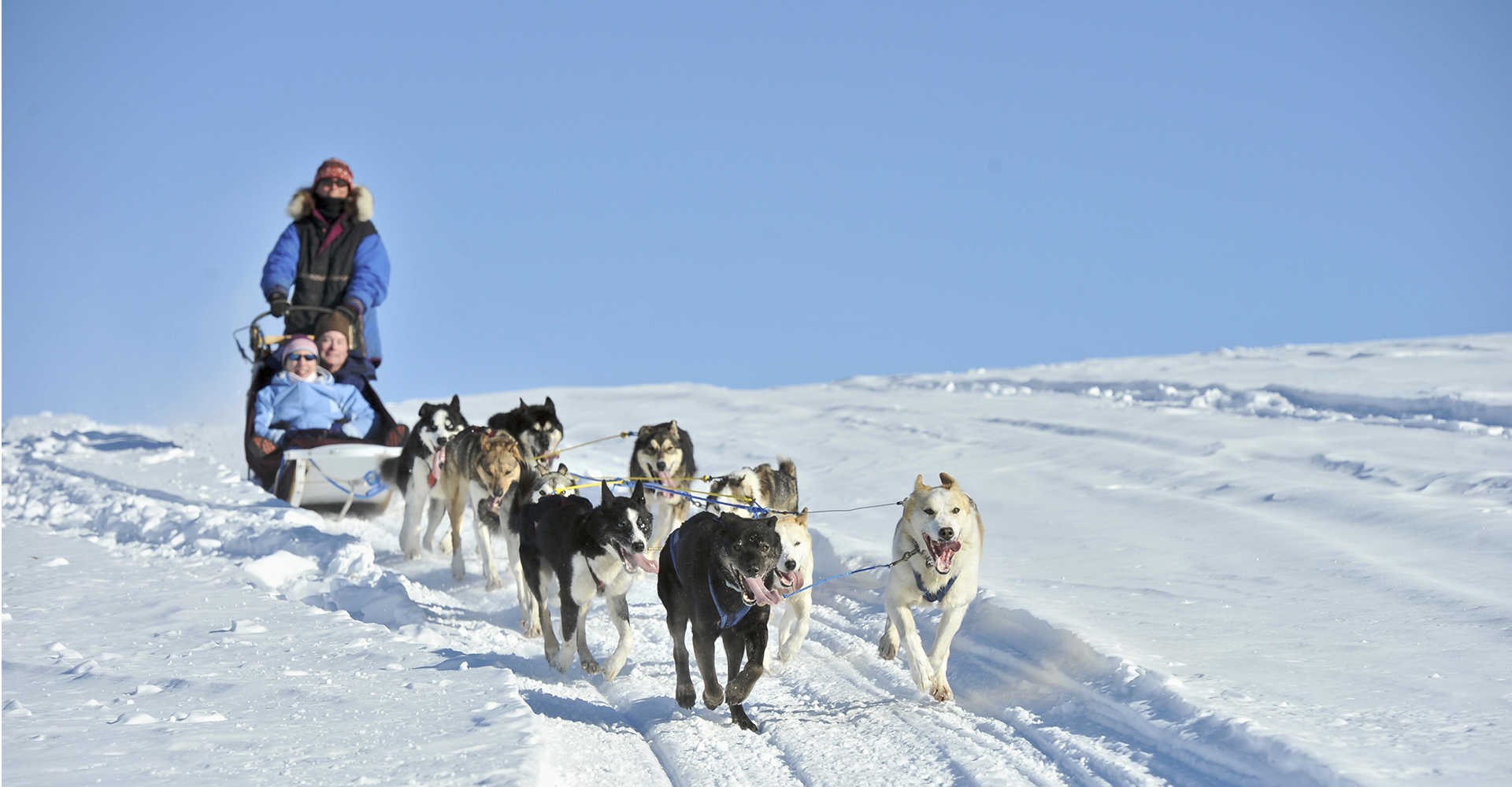 xe kéo tuyết bằng chó husky.jpg